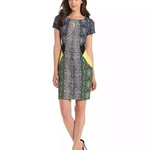 BCBG color-block snakeskin print dress